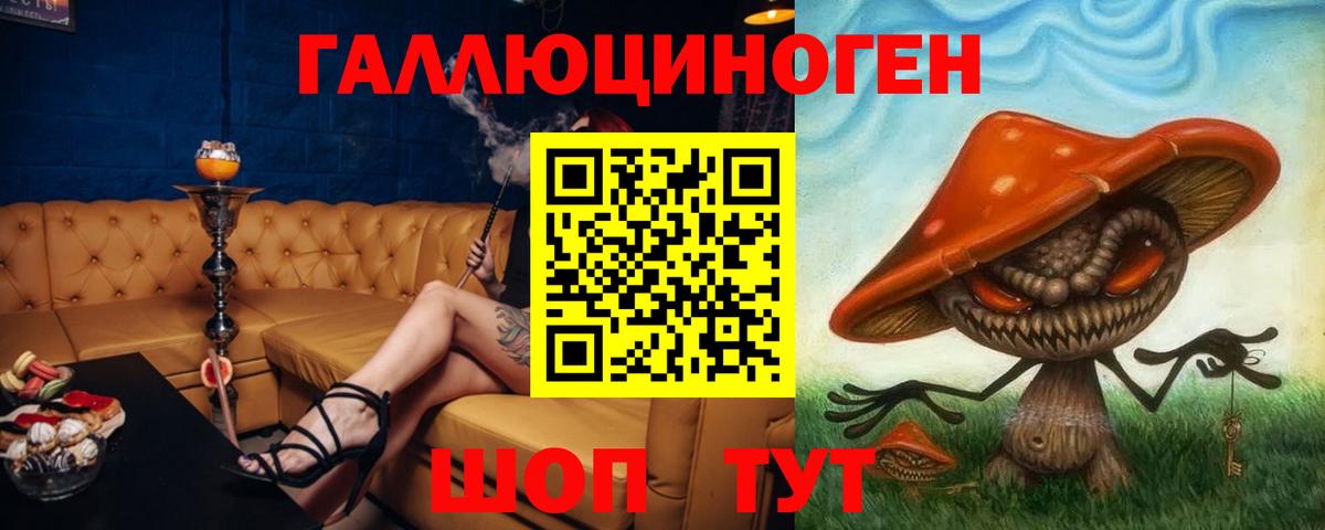 Звенигород  Галлюциногенные грибы Psilocybine cubensis  Вход с VPN 
